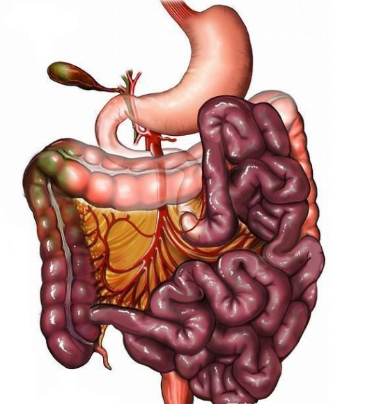 腸息肉者，排便出現(xiàn)3個異常，十有八九息肉已變成“癌”